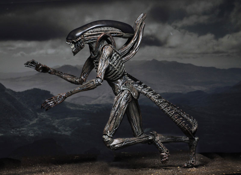 激レア NECA エイリアン コヴェナント ゼノモーフ ALIEN プロトモーフ 激レア NECA エイリアン コヴェナント ゼノモーフ ALIEN