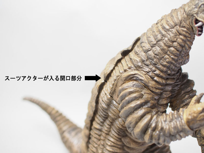 FIGURE-034473_03.jpg