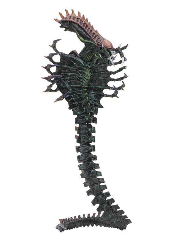 FIGURE-037389_06.jpg