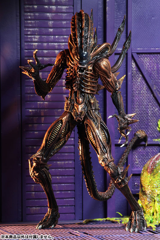 FIGURE-037389_16.jpg