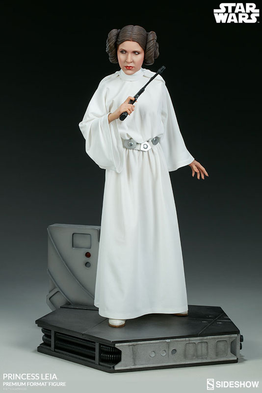 FIGURE-039316_06.jpg