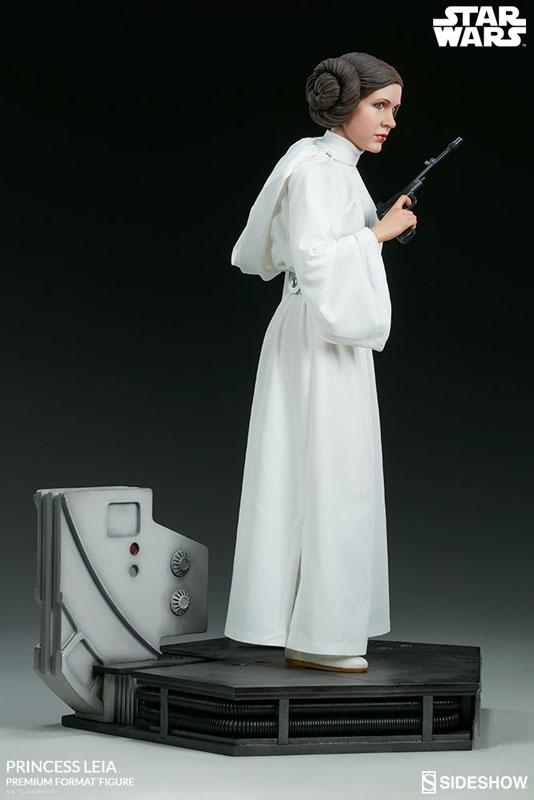 FIGURE-039316_10.jpg