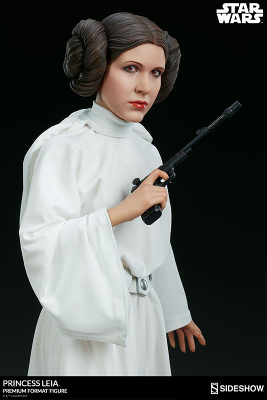 FIGURE-039316_12.jpg