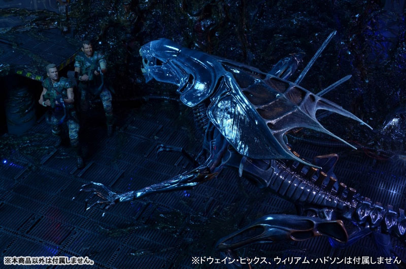 FIGURE-041747_16.jpg