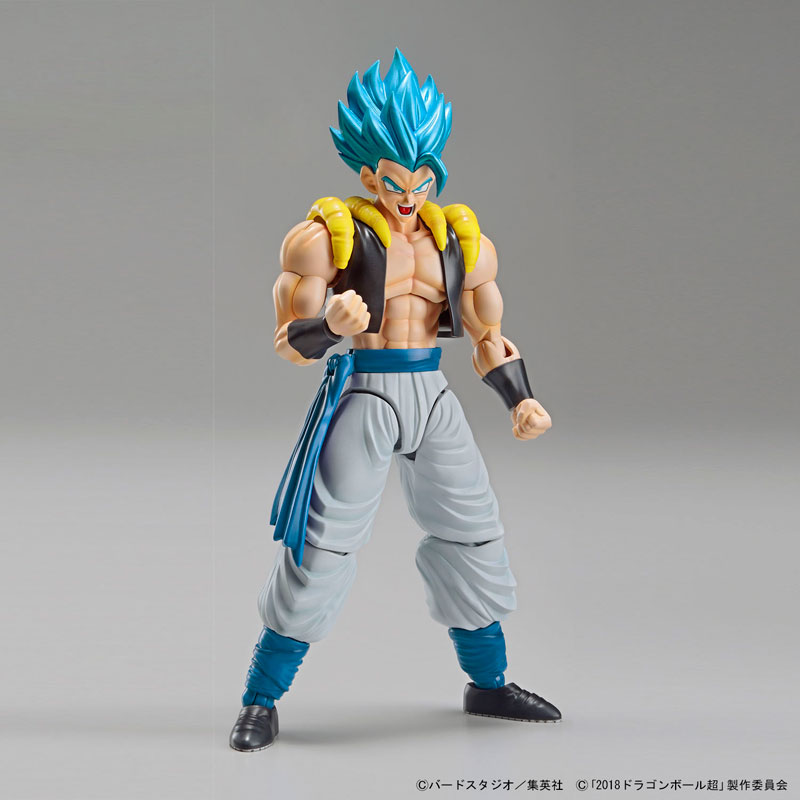 FIGURE-042641_06.jpg
