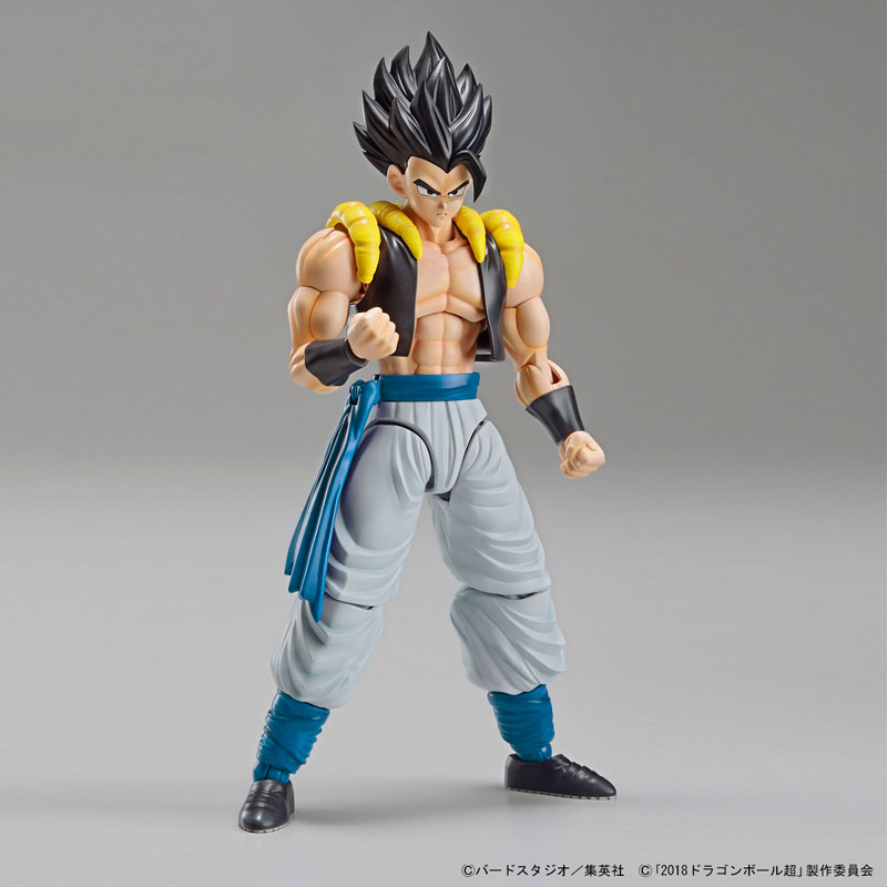 FIGURE-042641_08.jpg