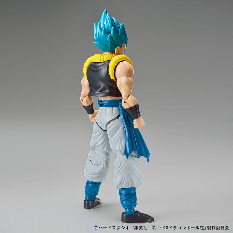 FIGURE-042641_11.jpg