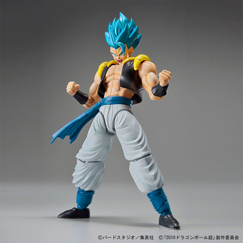 FIGURE-042641_12.jpg
