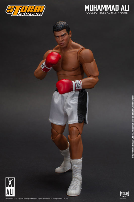 FIGURE-044743_04.jpg