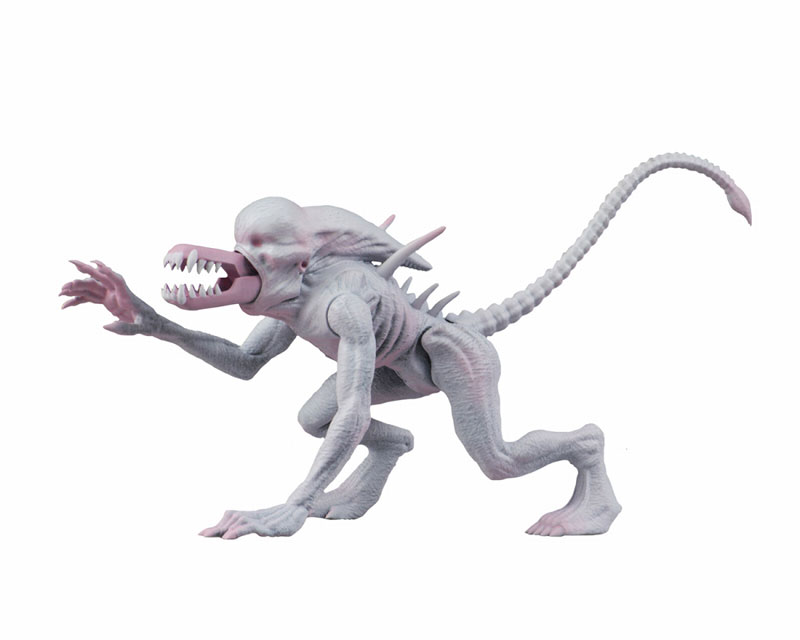 FIGURE-046445_02.jpg