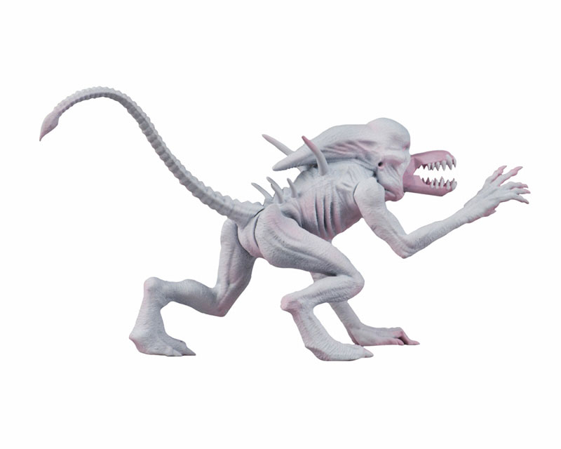FIGURE-046445_03.jpg
