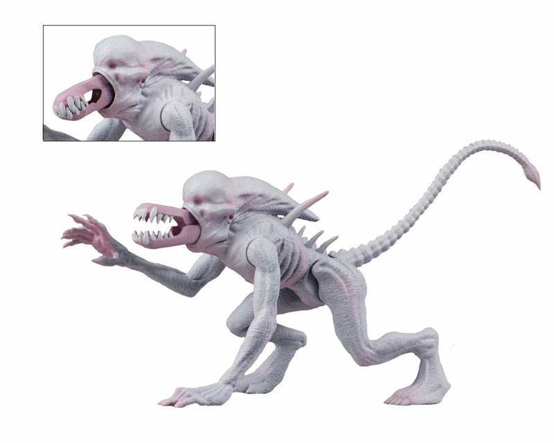 FIGURE-046445_05.jpg