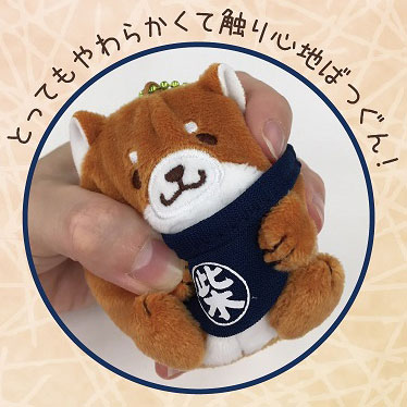 GOODS-00283168_01.jpg