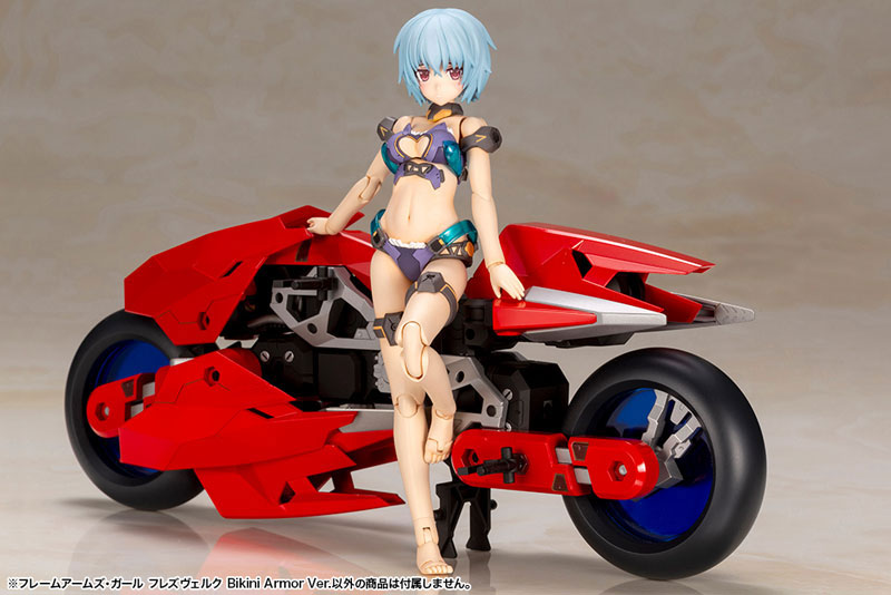 FIGURE-049509_12.jpg