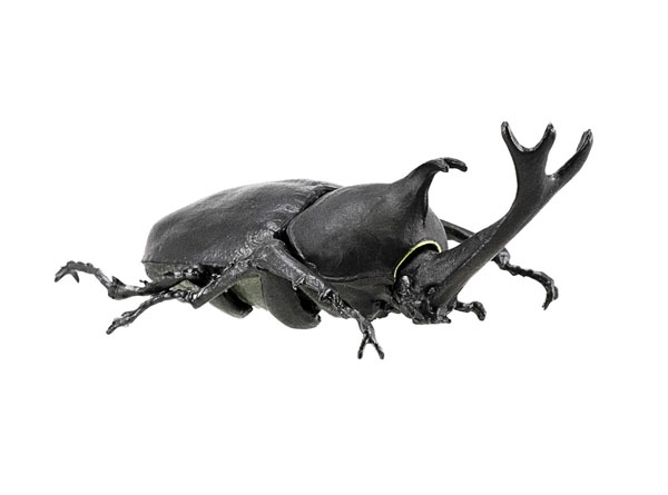 昆虫ハンター カブトムシ×クワガタ 10個入りBOX (食玩