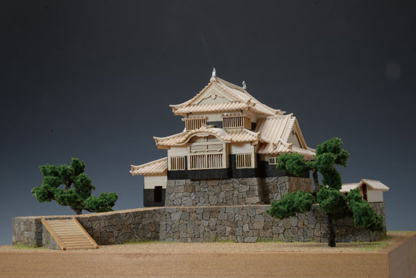 TOY-SCL3-04554_03.jpg