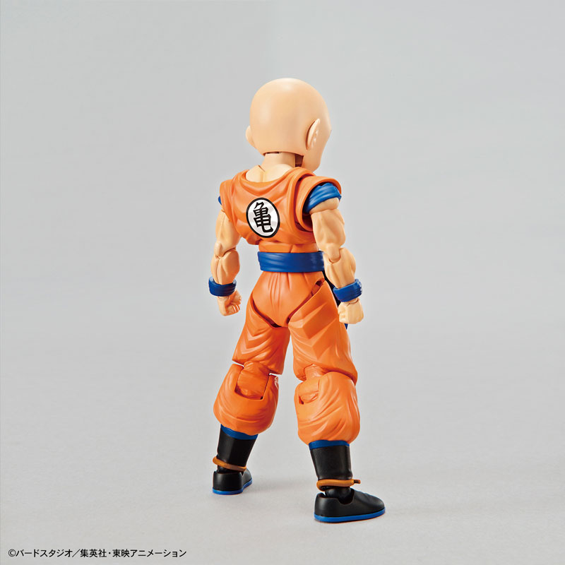 FIGURE-050273_06.jpg