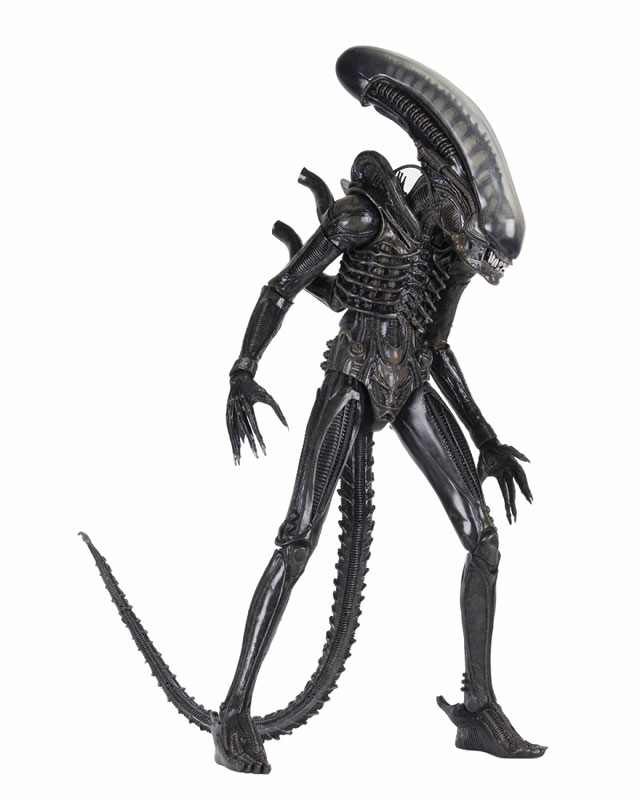 FIGURE-051020_02.jpg