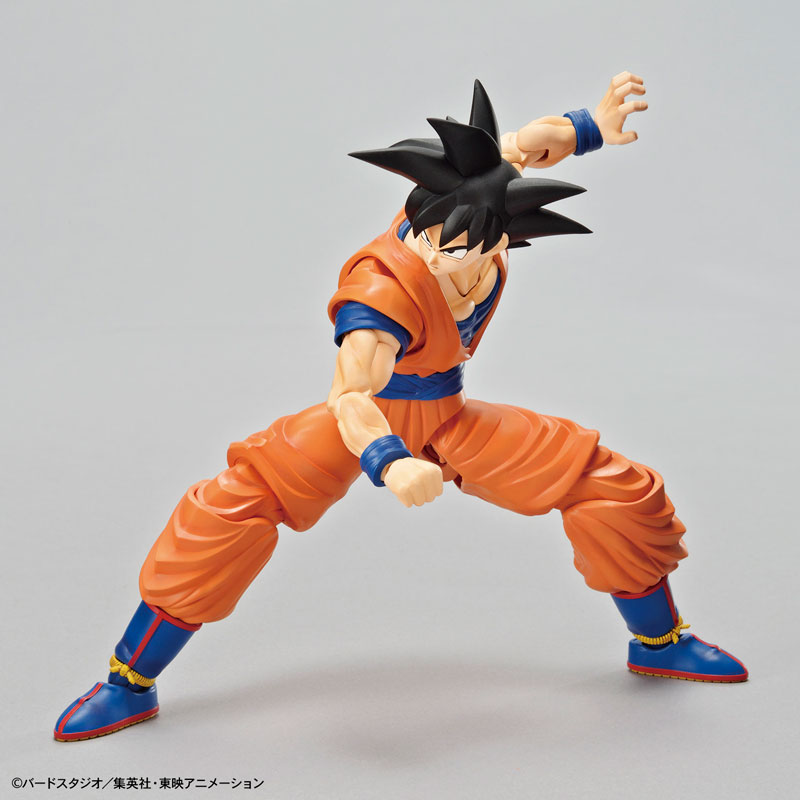 FIGURE-051377_04.jpg