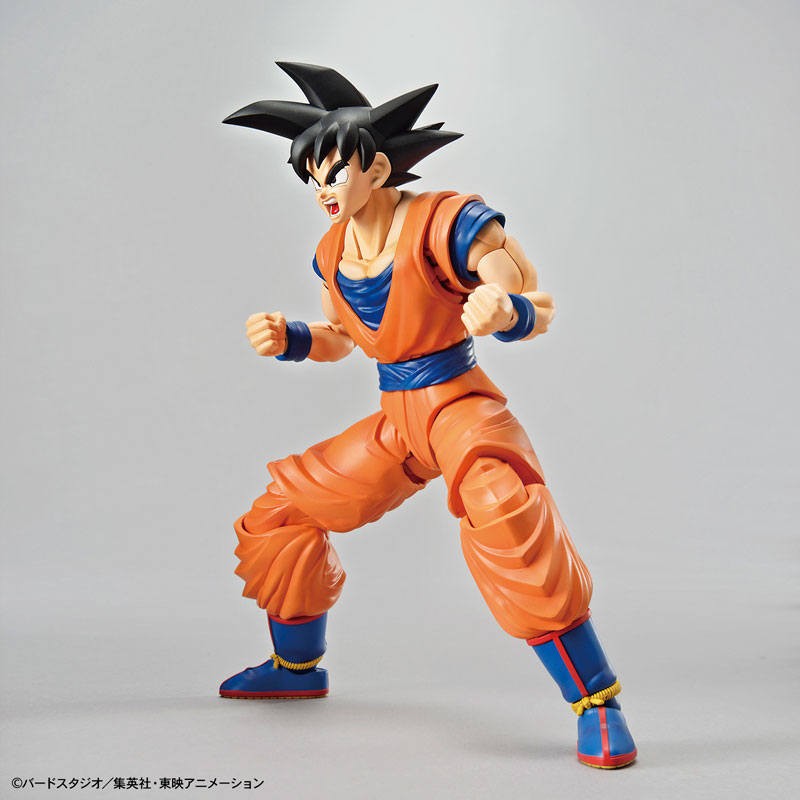 FIGURE-051377_05.jpg