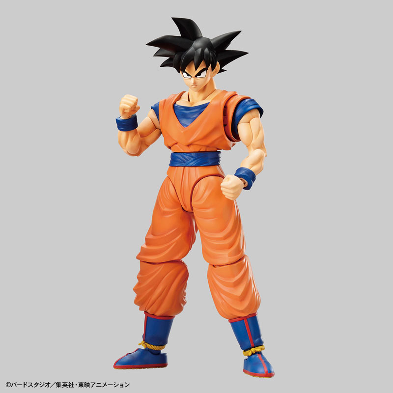 FIGURE-051377_08.jpg