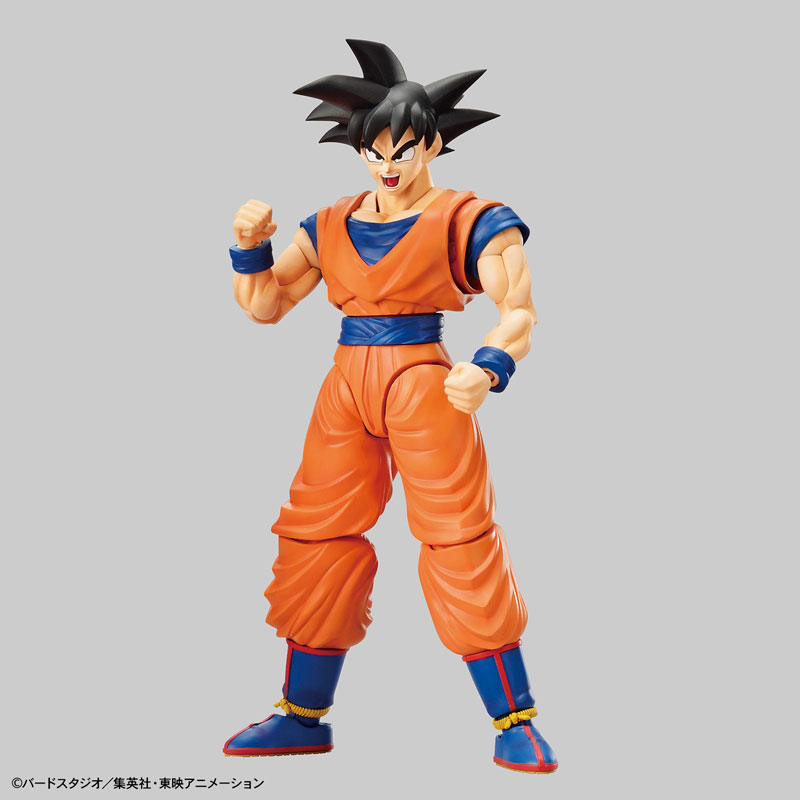 FIGURE-051377_09.jpg