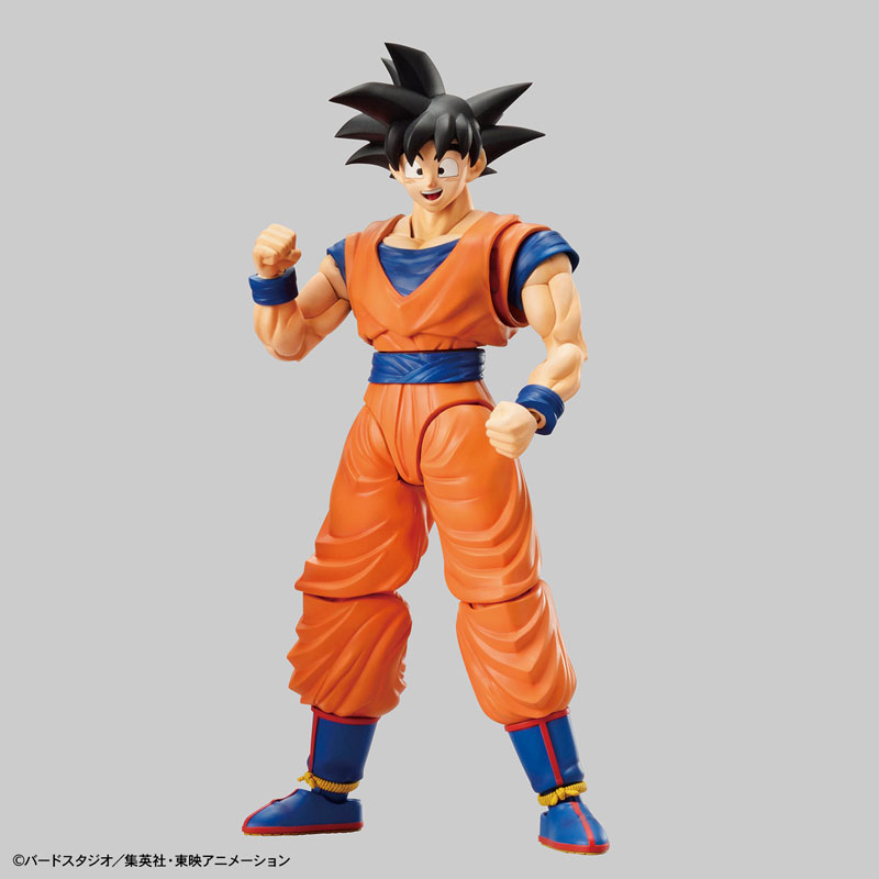 FIGURE-051377_10.jpg