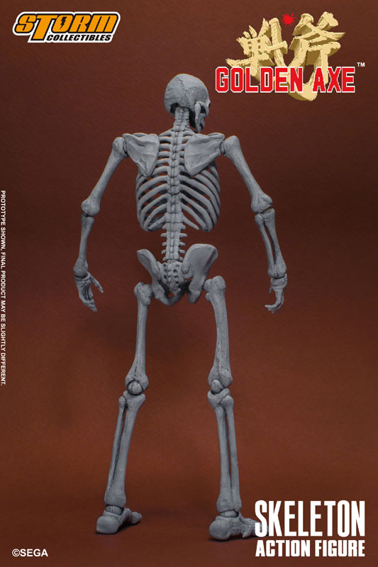 FIGURE-054872_16.jpg