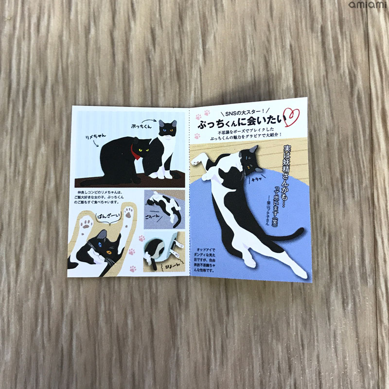 GOODS-00314990_10.jpg