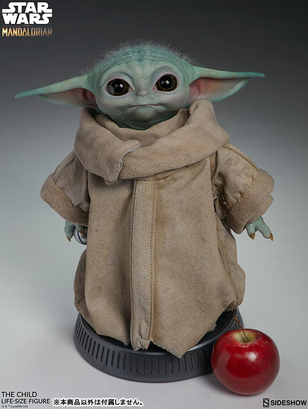 FIGURE-056490_04.jpg