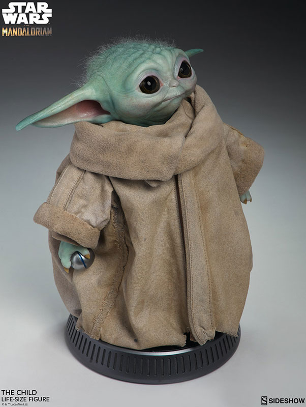 FIGURE-056490_09.jpg
