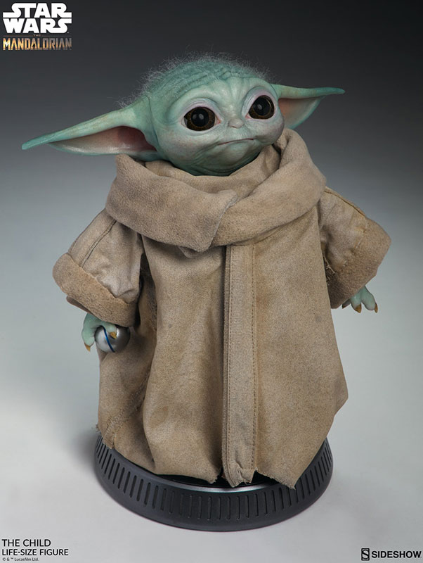FIGURE-056490_10.jpg