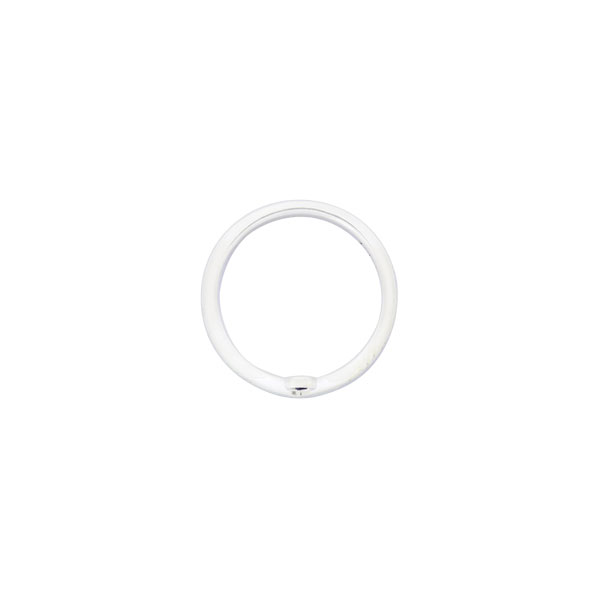 GOODS-00378584_02.jpg