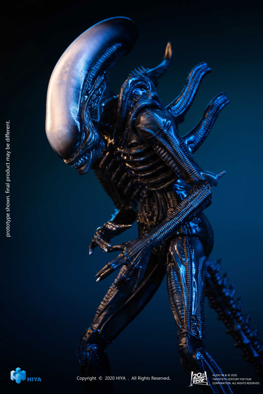 FIGURE-059826_02.jpg