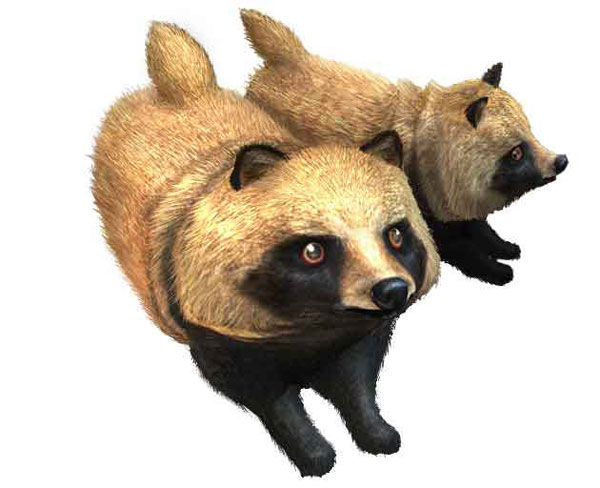 GAME-0023564_17.jpg