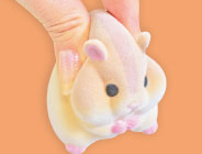 GOODS-00381885_01.jpg