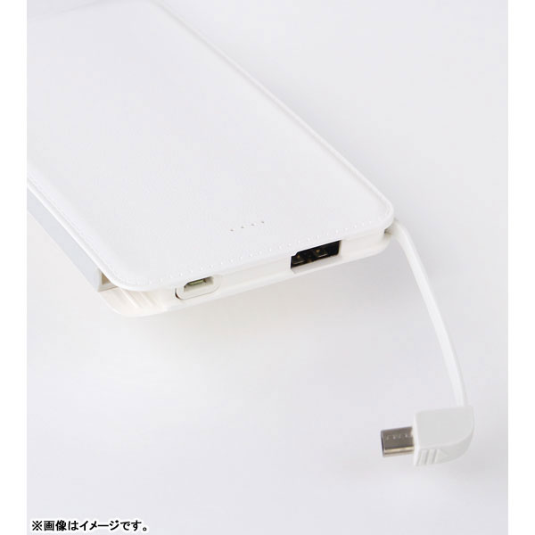 GOODS-00386710_01.jpg