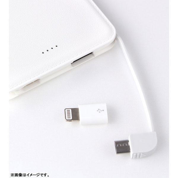 GOODS-00386710_02.jpg