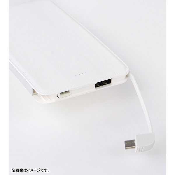 GOODS-00387780_01.jpg