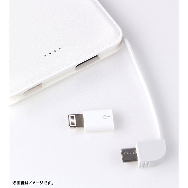 GOODS-00387780_02.jpg