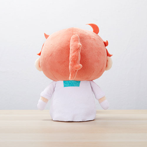 Fate/Grand Order ゆるっとぬいぐるみ(ロマニ・アーキマン)[ディライト
