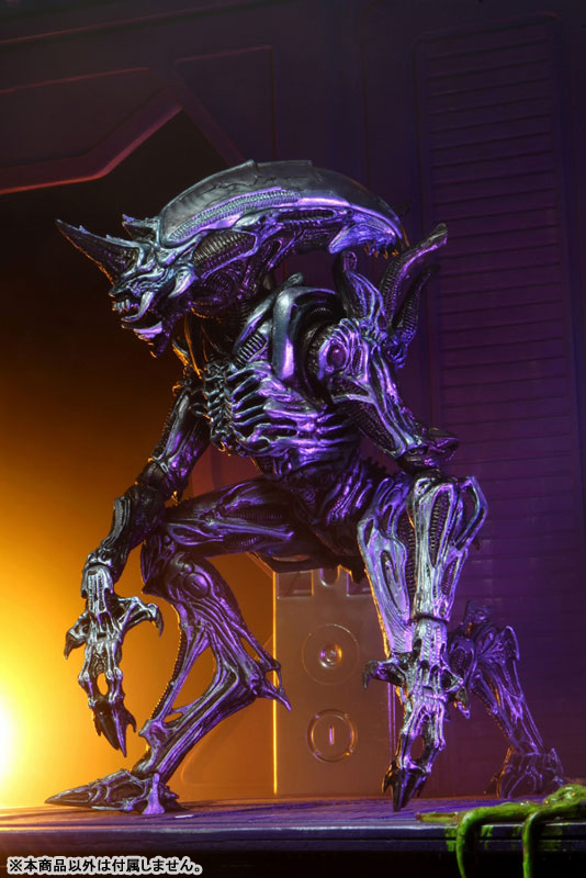 FIGURE-119002_10.jpg
