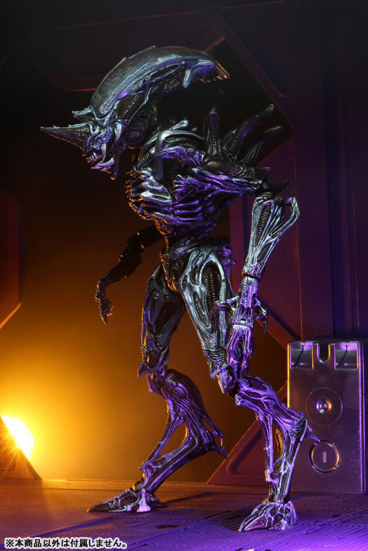 FIGURE-119002_12.jpg