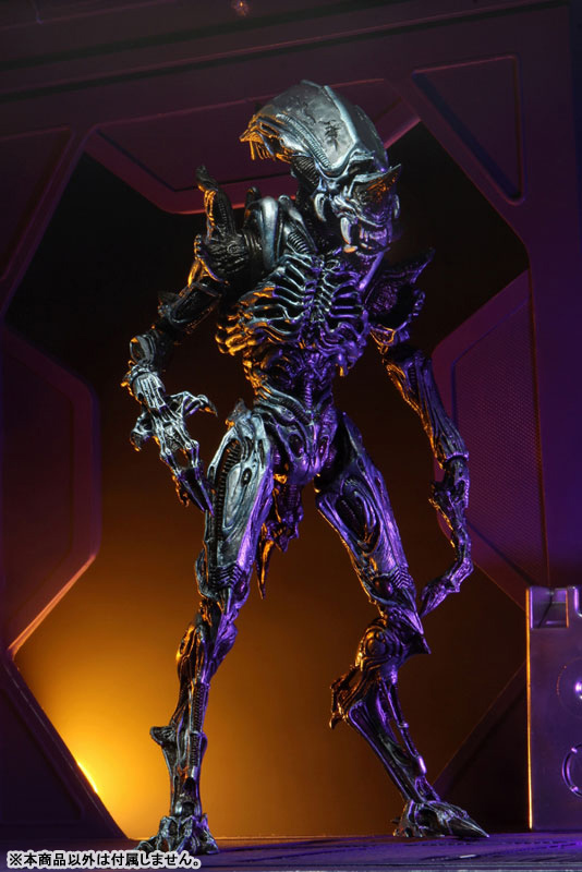 FIGURE-119002_14.jpg