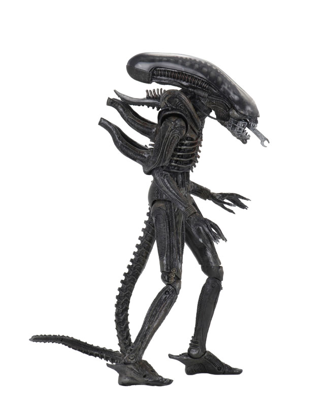 FIGURE-611077_03.jpg