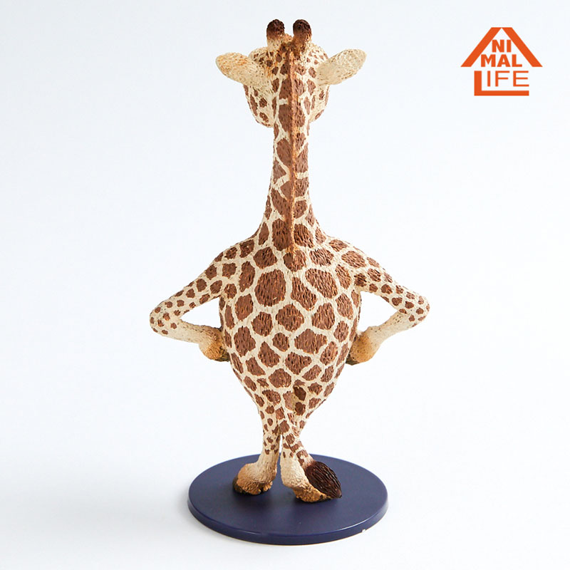 GOODS-00397334_03.jpg