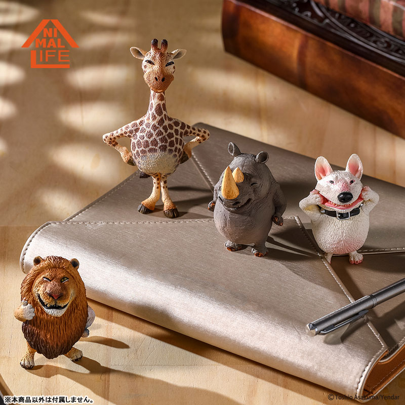 GOODS-00397334_12.jpg