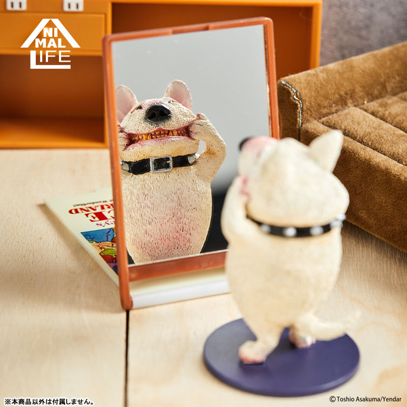GOODS-00397334_16.jpg