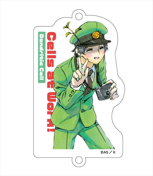 はたらく細胞 トレーディング連結アクリルキーホルダー 11個入りbox Y Line 在庫切れ