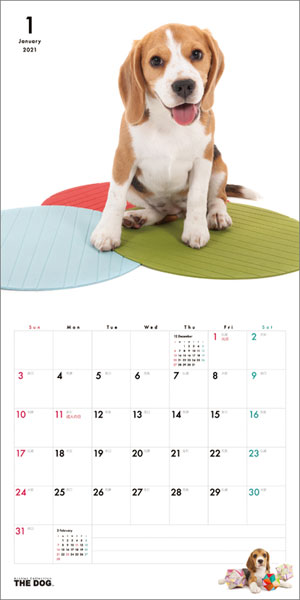 ミニ ビーグル 21年カレンダー わくわく製作所 在庫切れ